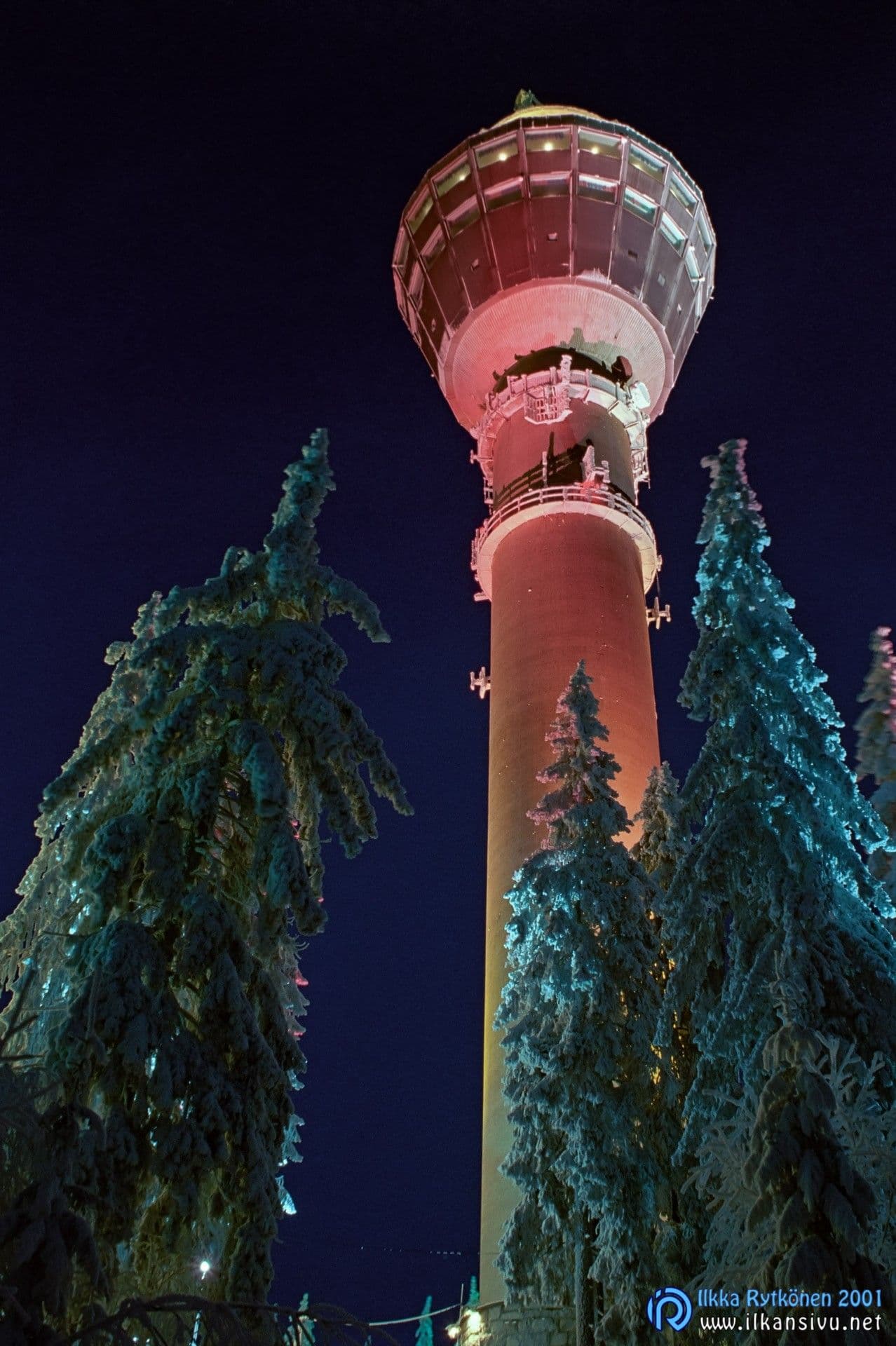 Valaistu Puijon torni huurteisten kuusien keskellä yöllä