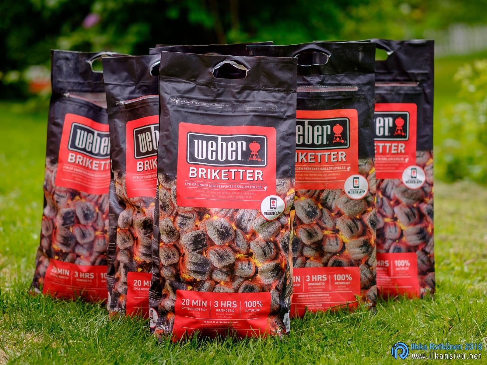 Weber-brikettejä