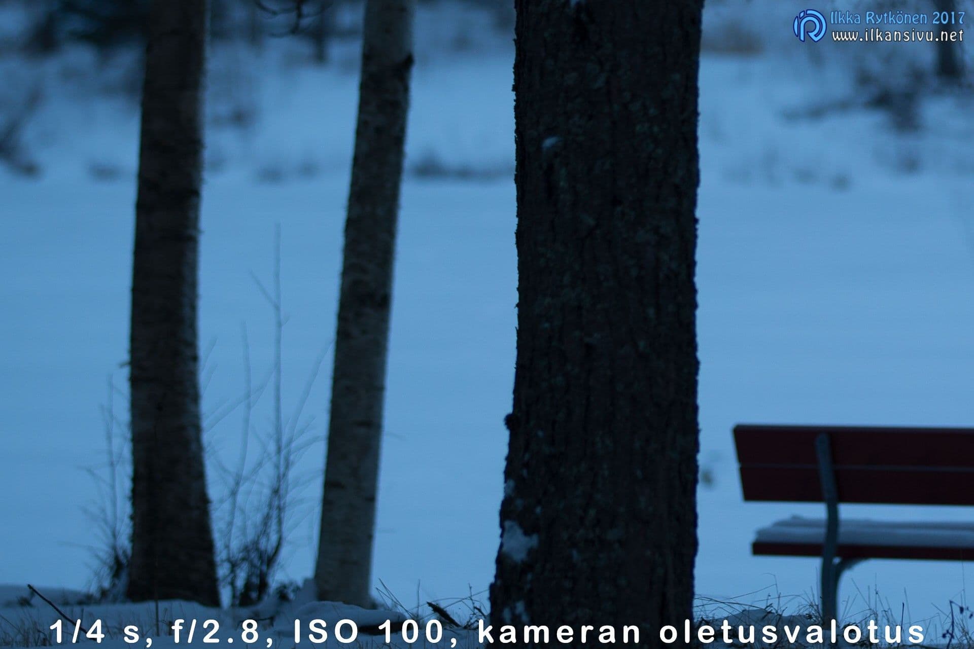 Puunrungot ja penkki lumisessa maisemassa kameran oletusvalotuksella kuvattuna